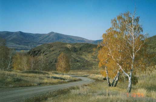 1998-07