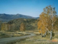 1998-07